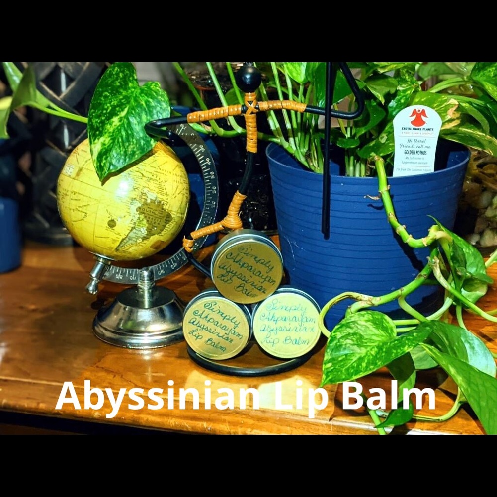 Abyssinian Lip Balm